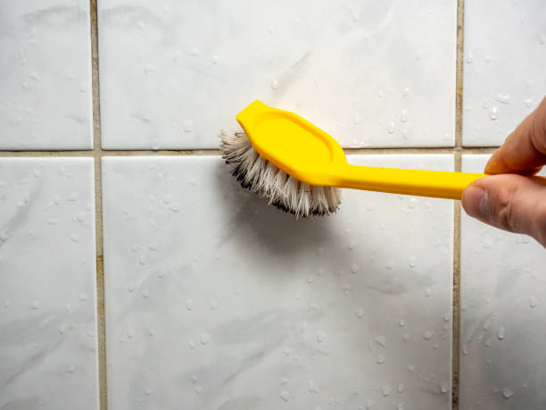 Best Post-Flood Mold Remediation in Carthage, TN